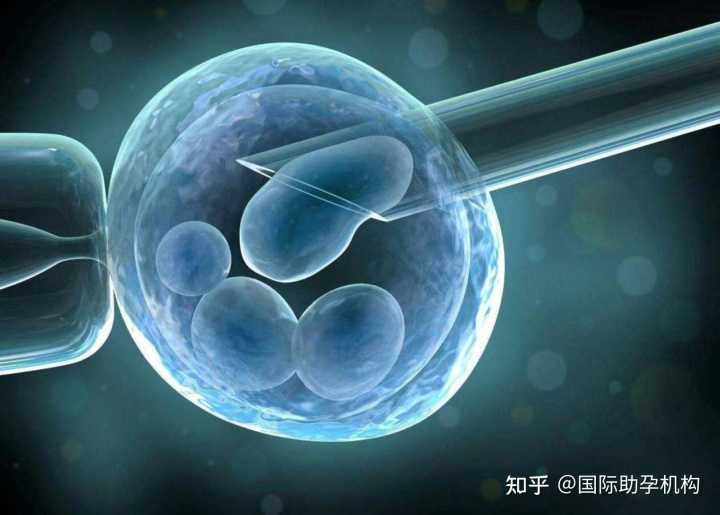 2023
郑州供卵的私立机构最新发布，附供卵三代生男孩费用详情-虎泉医院供卵