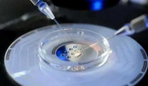 武警广东总队医院试管助孕服务：一代、二代技术详解与成功率