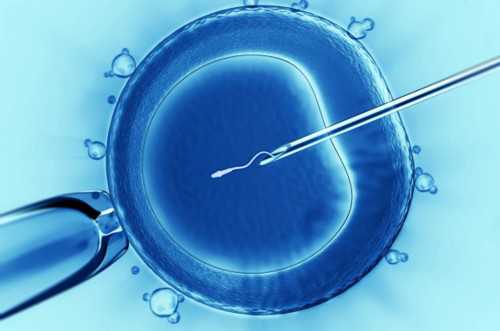 广州供卵被骗后尝试的解决办法,广州供卵自怀费用明细-遇见劫匪