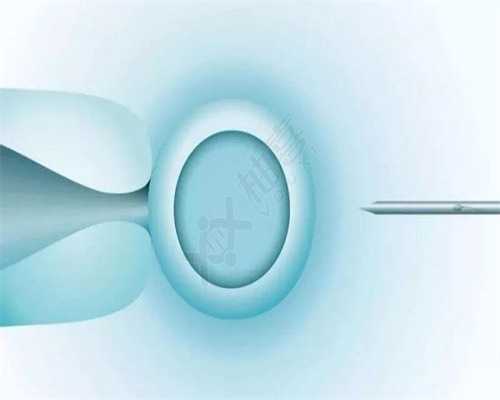 广州三代试管助孕全解析：费用、流程与成功率