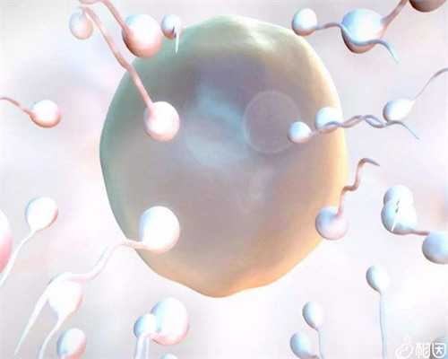 广东省试管助孕优选：解析广州及深圳领先的辅助生殖机构