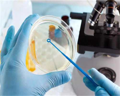 广州供卵医院地址（广州供卵医院知名十月幸孕助孕）-供卵医院在哪