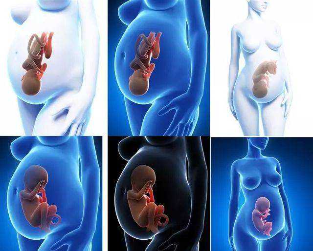 广州赴美助孕生子机构都是哪些(广州助孕联系电话)