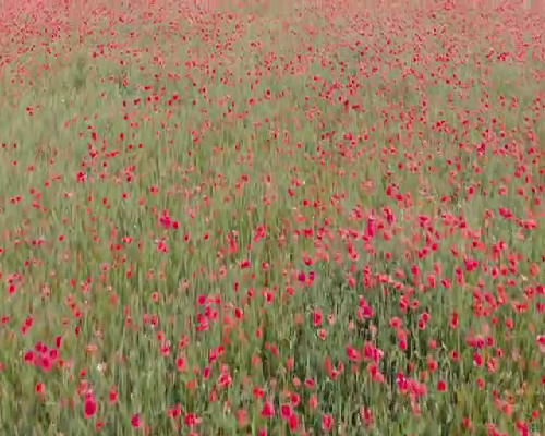 广东试管婴儿医院推荐：技术与成功率并存的优选