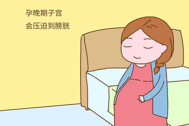 广州卵子捐赠医院指南：十月幸孕助孕的专业借卵试管咨询