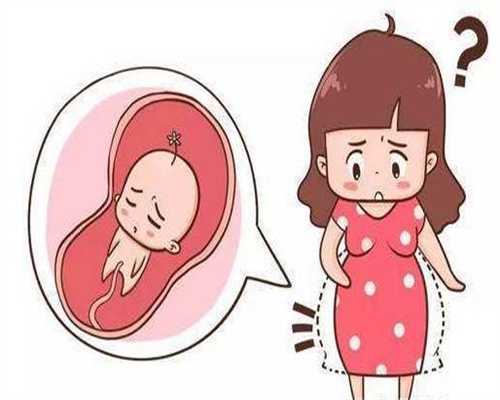 孕妇能不能喝白果煲汤_2019年做供卵试管婴儿费用