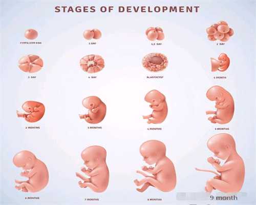 六个月胎儿缺氧的表现 胎儿缺氧是什么样的_代孕