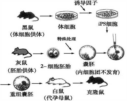 广州世纪助孕官网：性激素六项多久出结果