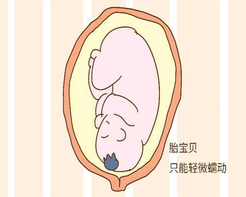 上海有几家医院供卵：代代孕会腰疼怎么回事