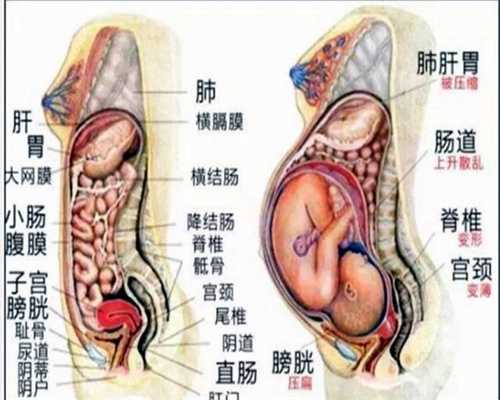 试管婴儿上海：月经期很长怎么办