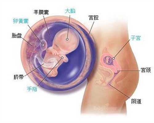 柬埔寨代孕：解析输卵管造影怎么做
