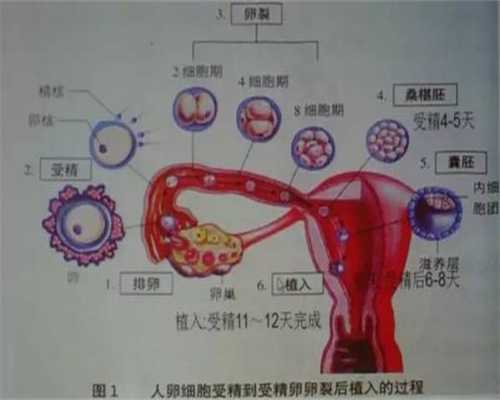 上海代生男孩宝宝_做试管婴儿代孕取精过程需要