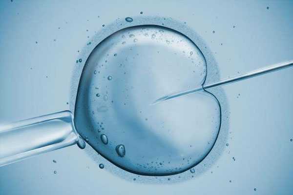 第三代试管胚胎筛选_供精可以直接做试管吗_做台湾试管婴儿饮食有什么需要的