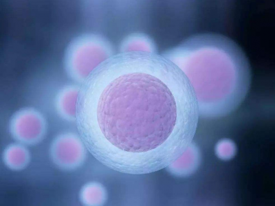 二代试管成功率有多大_染色体异常第三代试管_深圳试管婴儿如何获取优质的卵