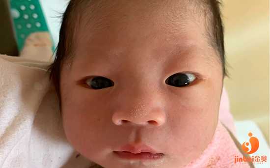 试管婴儿是选择好的基金吗_哪个国家试管选择性别_【重庆市做供卵试管婴儿费