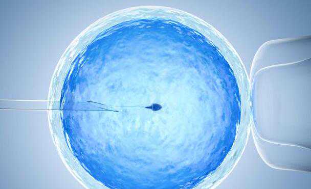 试管是不是可以选择性别_卵巢早衰能做供卵试管婴儿吗_为什么优质胚胎养囊的