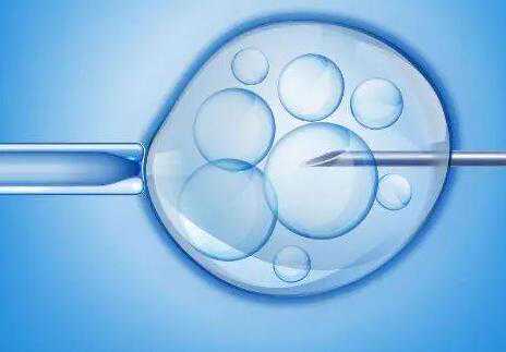 试管可以选择男女吗_湖南供卵试管婴儿医院_胚胎移植成功后，有哪些注意事项