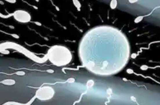 西安借卵做试管婴儿_试管婴儿怎么选优质胚胎_广州精子库的精子做人工授精生