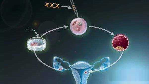 三代试管胚胎筛查多久_第三代试管全球排名_日本试管婴儿助孕微刺激方案适合