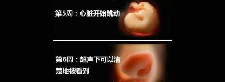 广州试管一对龙凤胎多少钱_郑州供卵试管机构_试管婴儿胚胎移植后孕酮低，要