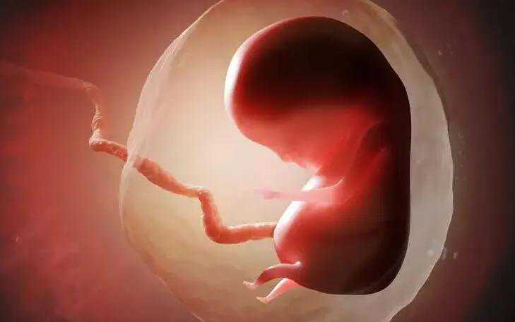 供精试管有生二胎的吗_哪里试管可以选择性别?_2023
枣庄市妇幼保健院试管婴儿