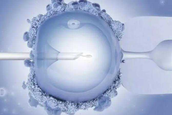 p7WB1_胚胎染色体整倍体和非整倍体的区别在哪？